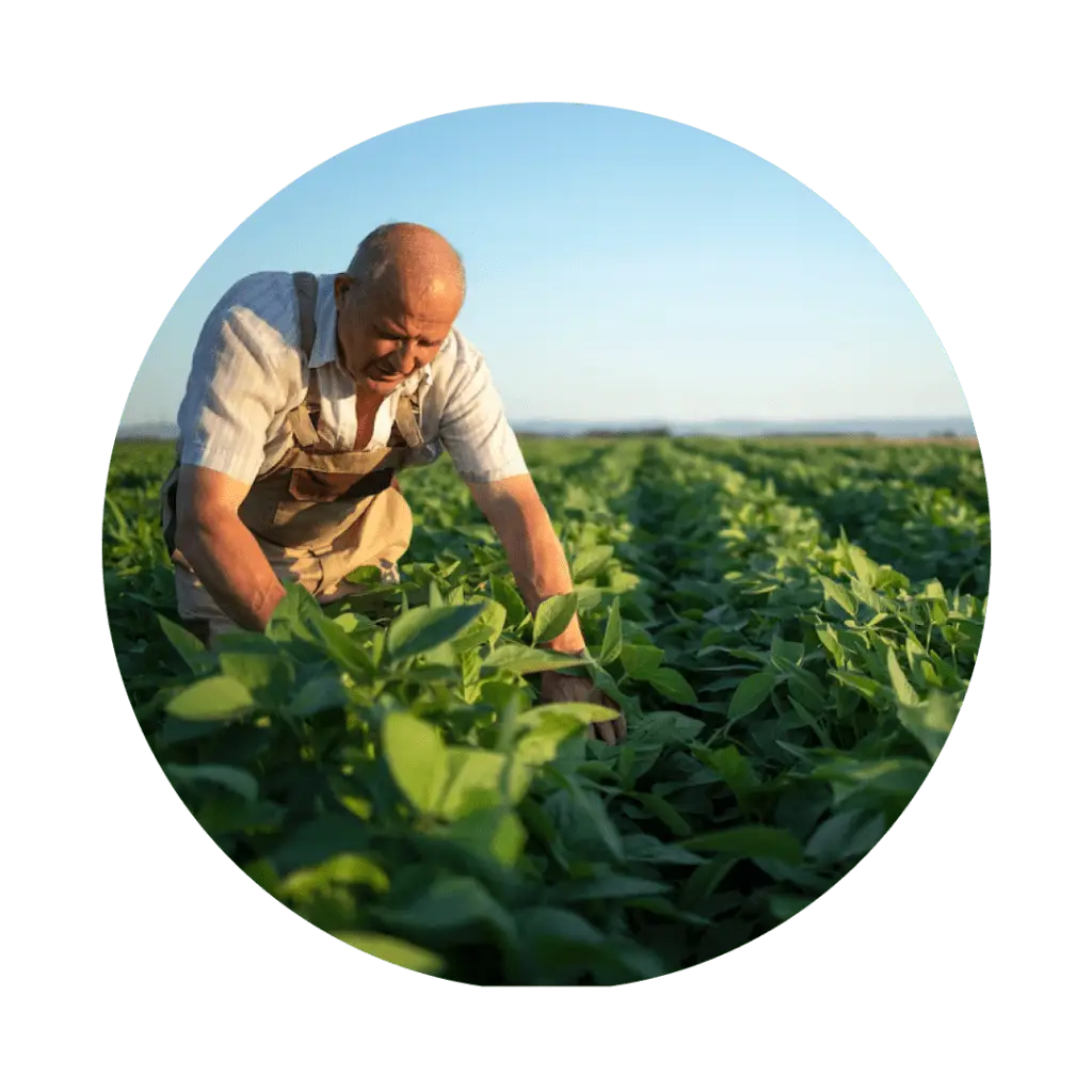 consultoria ambiental para o agronegócio