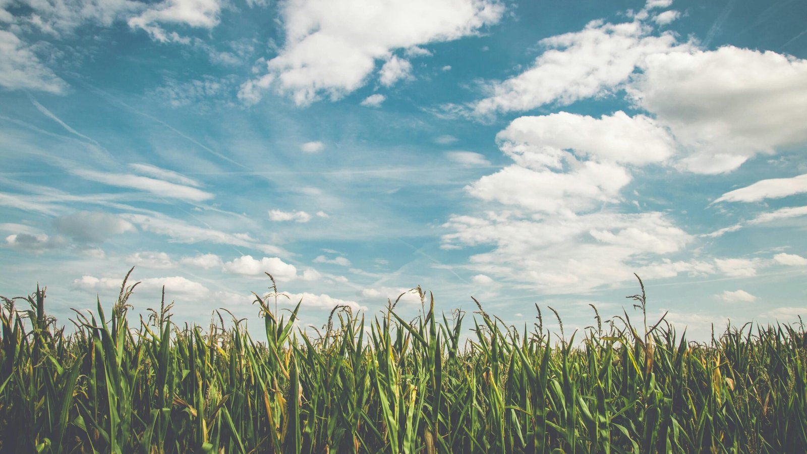 Licenciamento ambiental em propriedade rural