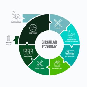 Economia circular infográfico
