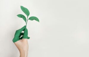 Empresa ambiental de engenharia e consultoria ambiental em Arapongas /PR
